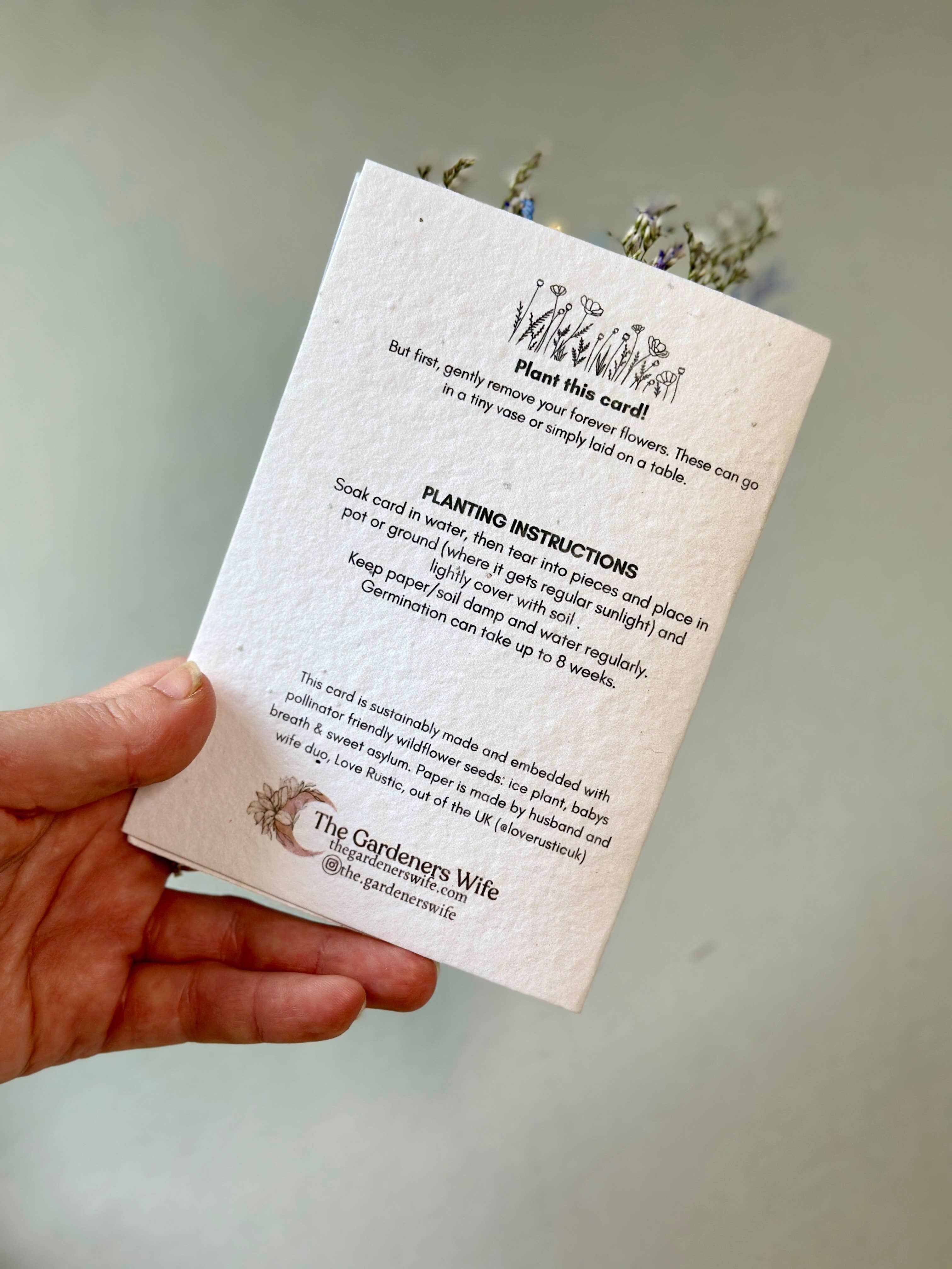 The Gardeners Wife – wholesale Tackkort – Vildblomsfrökort + Liten Bukett | Tacksam2