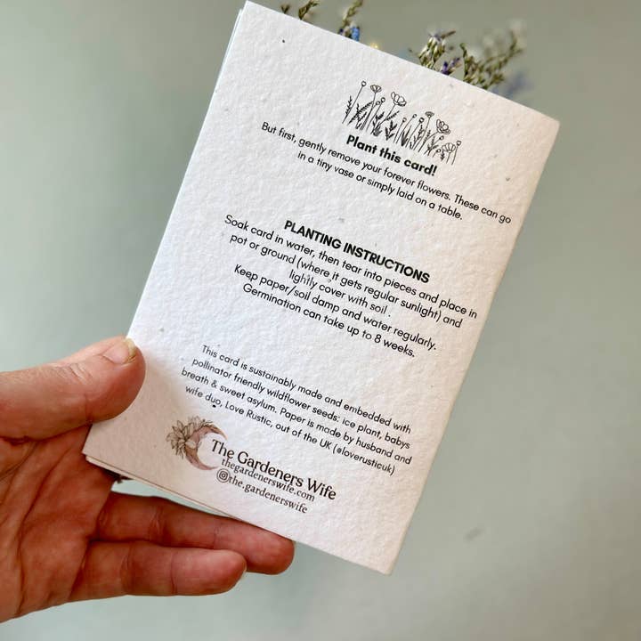 The Gardeners Wife - Wholesale Thank you card - Wildflower Seed Card + Tiny Bouquet | Thankful 2
