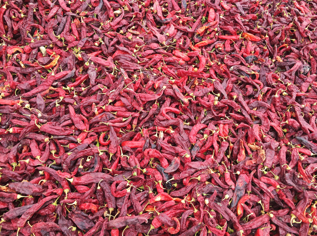 ORENCIO HOYO, S.L. - Wholesale Dried Spice - Carlos I Smoked Sweet Paprika Tin 75g8