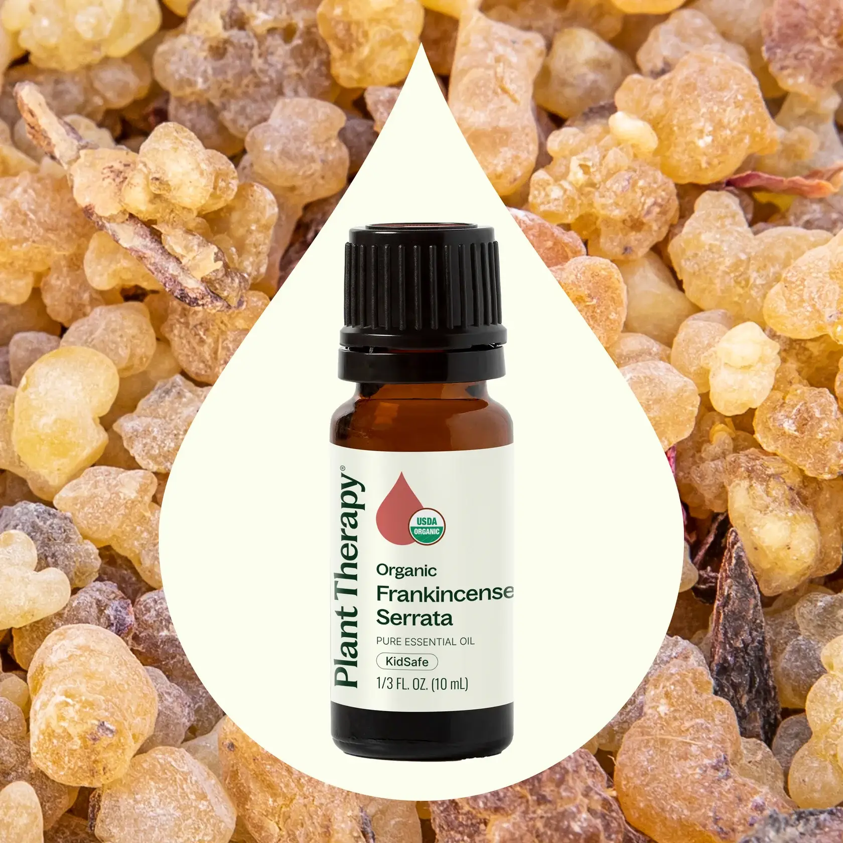 Plant Therapy – wholesale Essential oil – Organic Frankincense Serrata Essential Oil 10 mL1