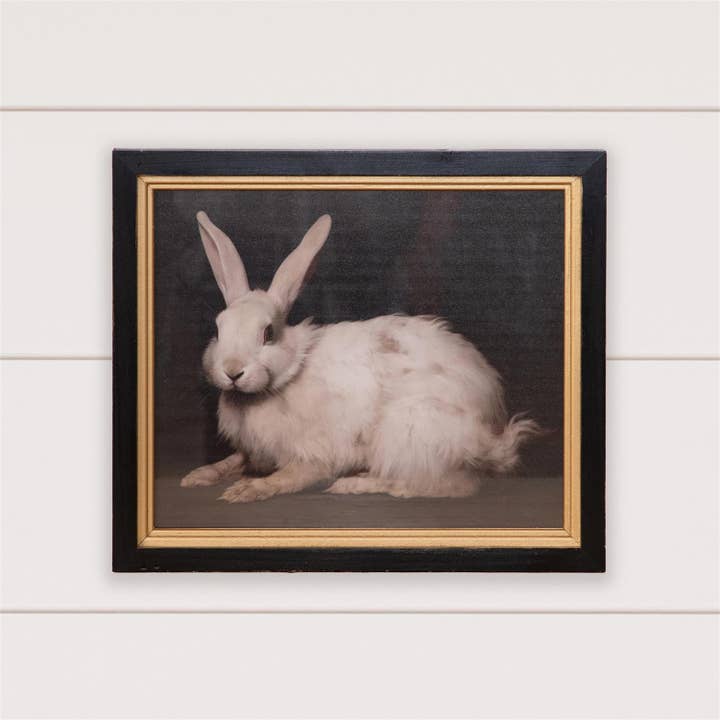 Audrey's Home & Gift - Wholesale Art Print - Framed Print - Handsome Rabbit (PC)