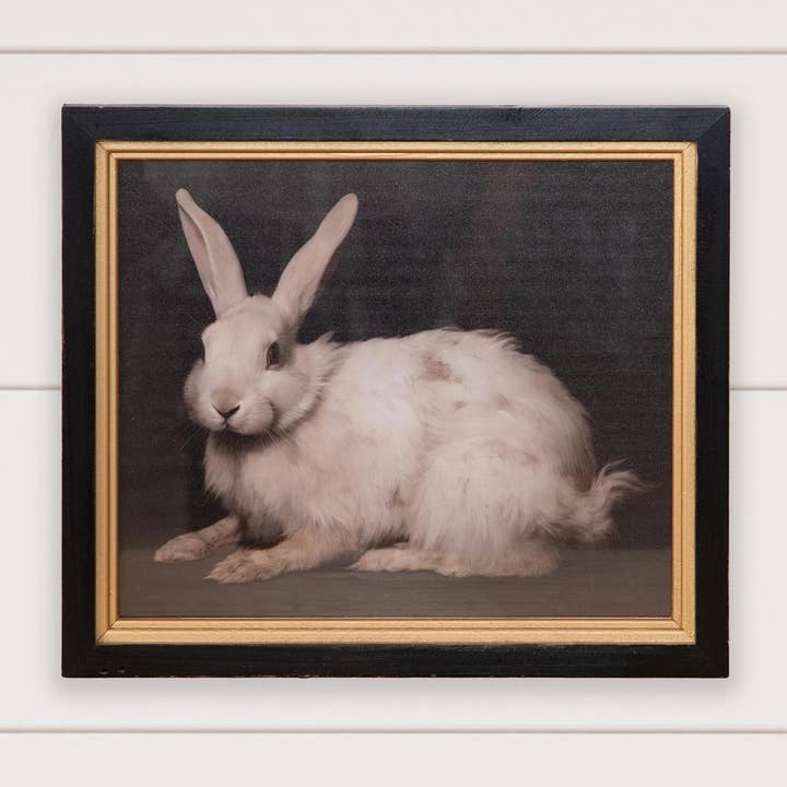 Ingelijste print - Handsome Rabbit (PC) voor wholesale door Audrey's Home & Gift