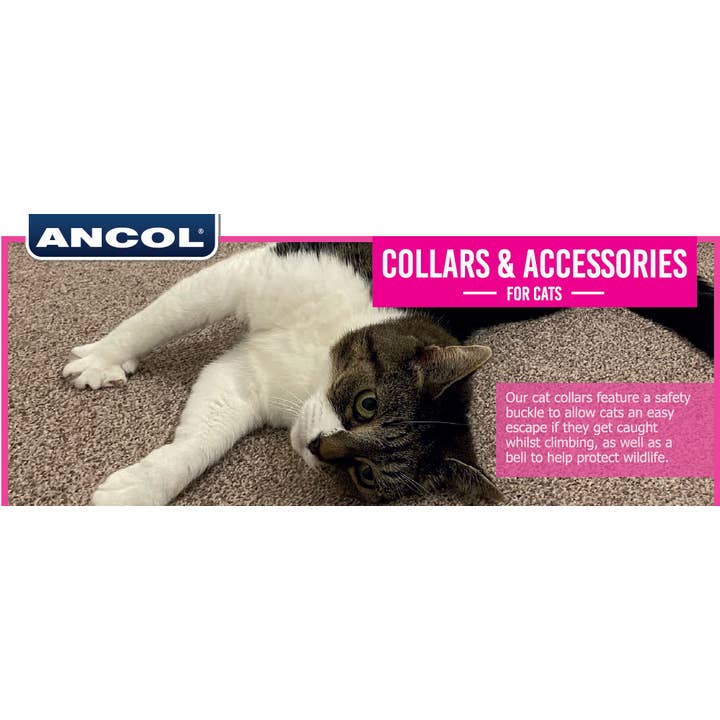 Ancol Pet Products Ltd - Wholesale Pet collar – Cat - Alert Cat Collar (I am Microchipped)2