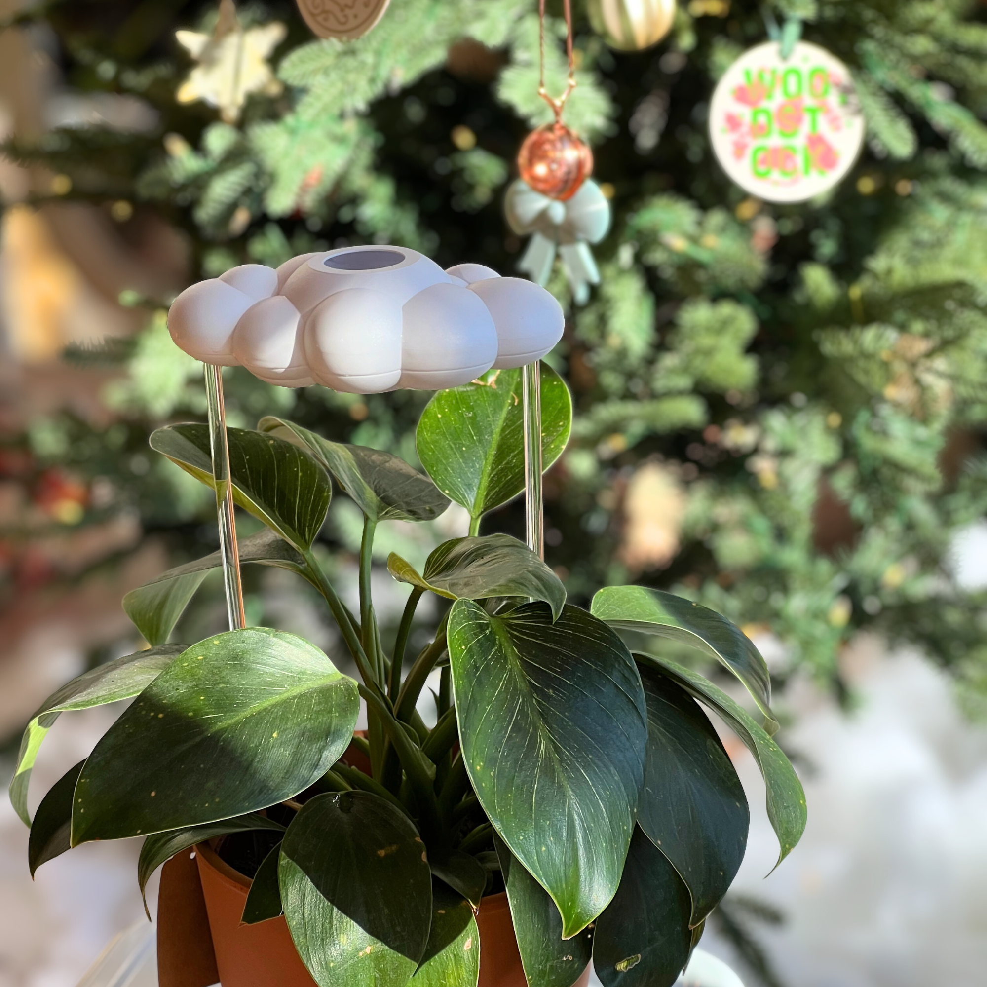 The Cloud Makers - Wholesale Watering Can - Original Dripping Rain Cloud6