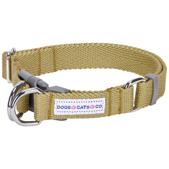 Blueberry Pet - Wholesale Pet collar – Dog - Best-Seller Double D-Ring Dog Collar -Must-Have for All Dogs65
