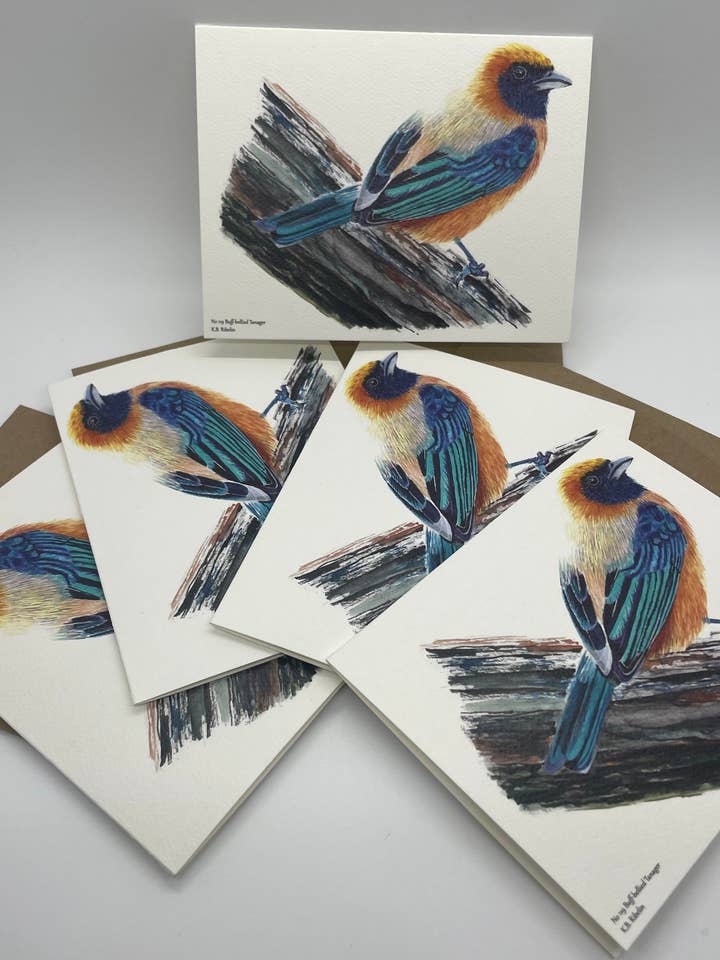 Buff-bellied Tanager - Kort med kuvert för wholesale av Bird Art by KB
