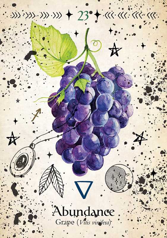 Simon & Schuster - Wholesale Tarot Cards - Green Witch Oracle Cards by Cheralyn Darcey3