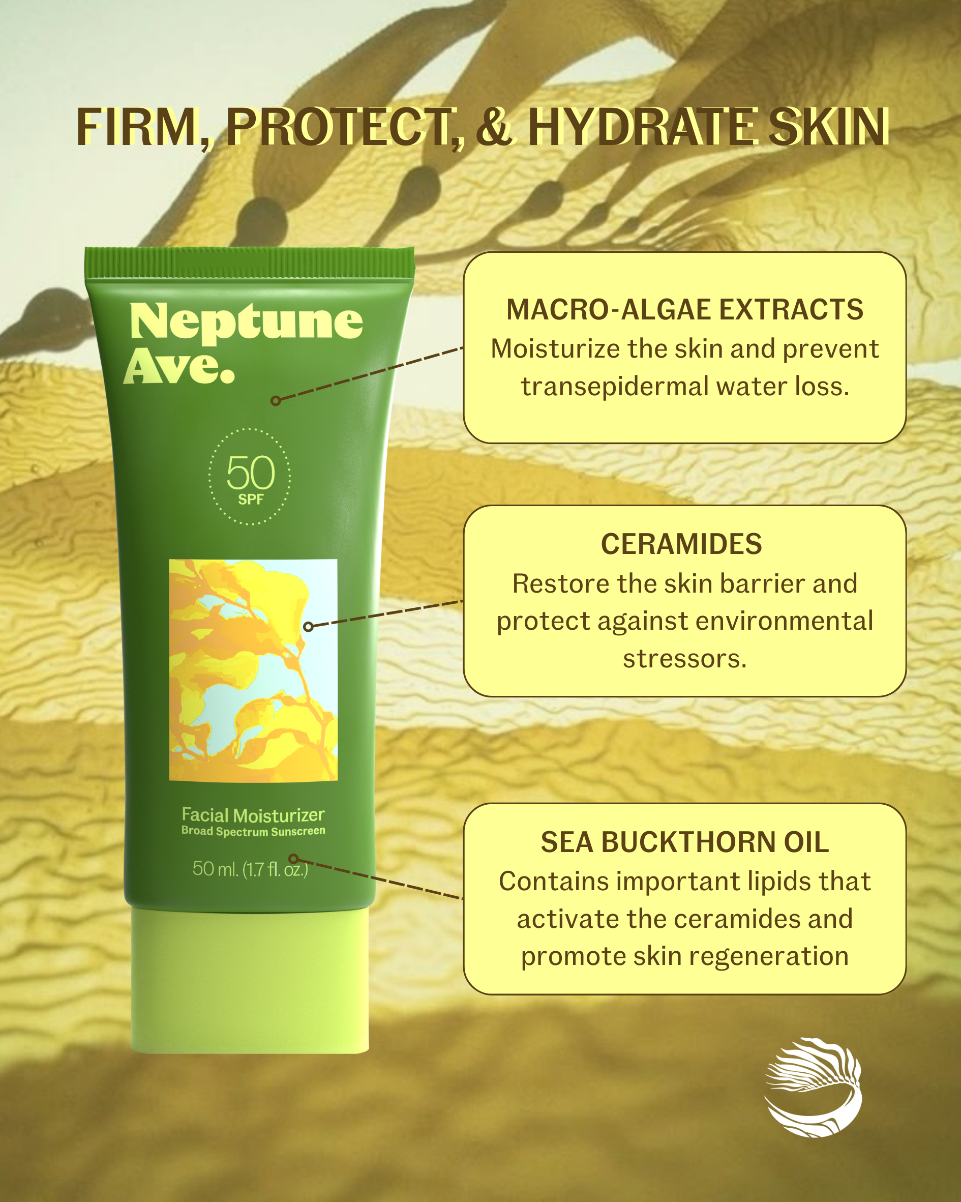 Neptune Ave. - Wholesale Sunscreen - Barrier Repair Sunscreen SPF 5012