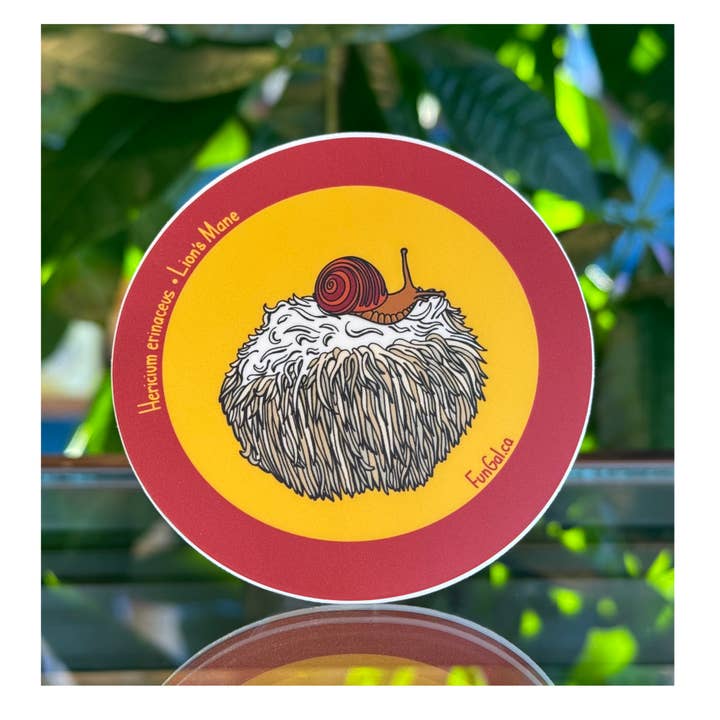 Lion's Mane Sticker for wholesale by FunGal.ca