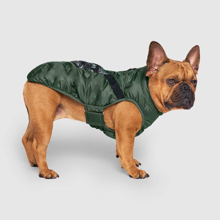Commuter Vest- Dog Jacket for wholesale by Canada Pooch