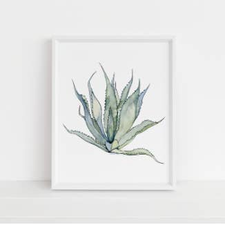 Agave Print for wholesale by Jennie Kilcup Watercolors