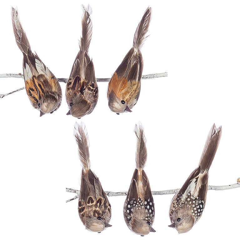 Abbott - Wholesale Ornament - Bird W/Pointed Tail Clip-6 Assorted-4.5"L-5753