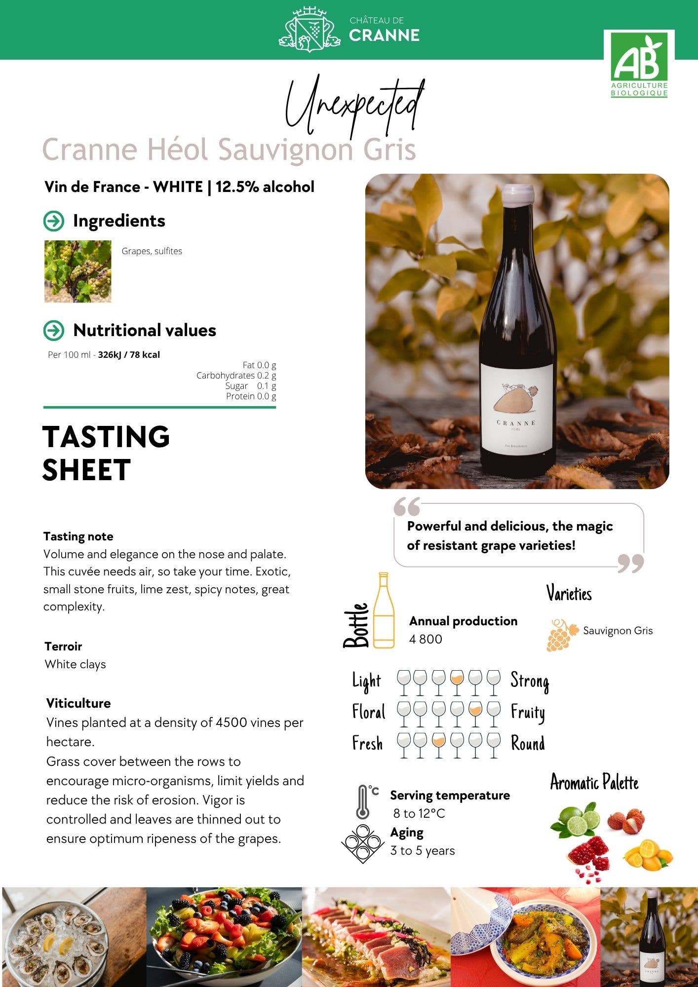 Château de Cranne - Wholesale White Wine - Great Dry White Wine 100% Organic Sauvignon Gris "CRANNE Héol" 231