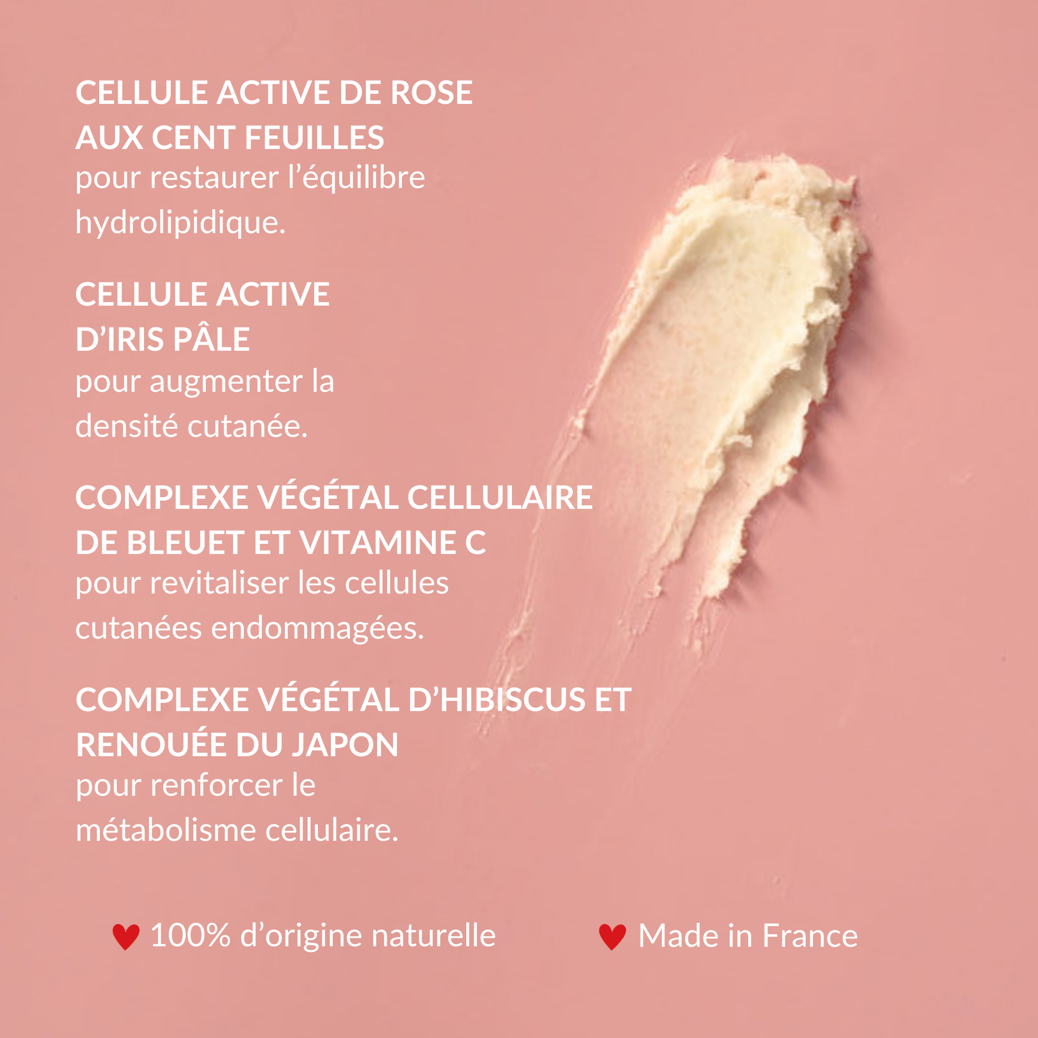 JOD COSMETICS - Wholesale Facial Moisturizer - Essential Day Care7