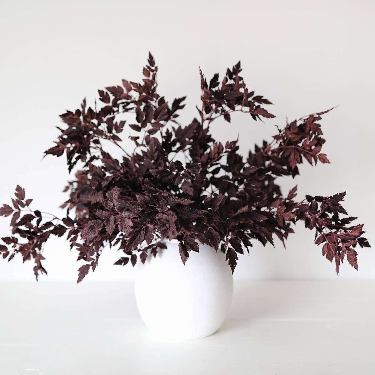 Afloral - Vente Plantes artificielles - Feuilles de Cimicifuga Ramosa Fausse Prune - 31"1