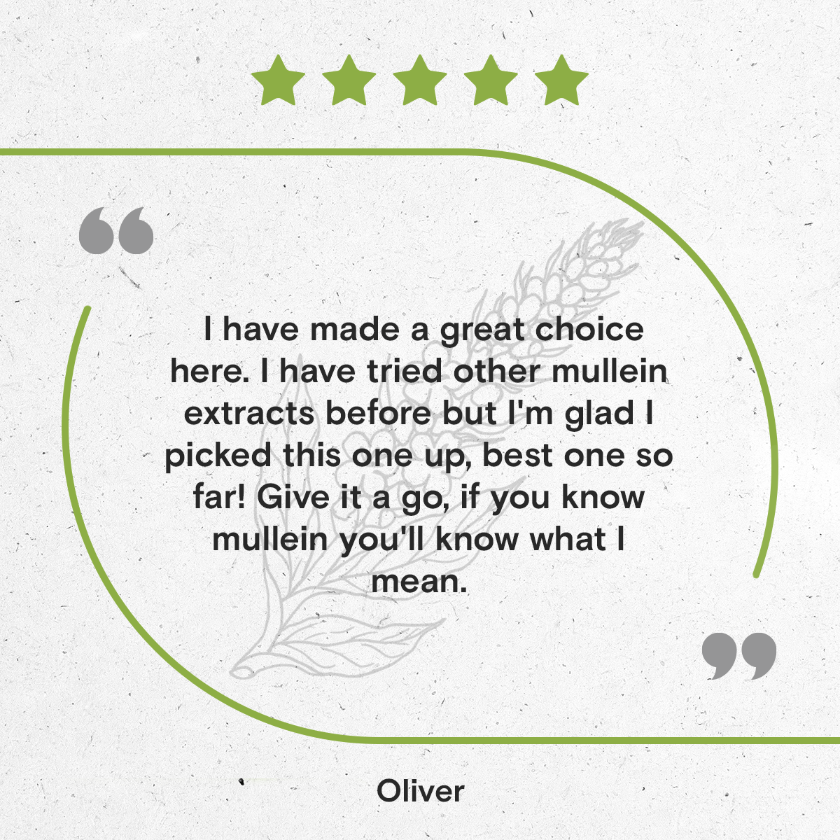 Secrets Of The Tribe - Wholesale Tincture - Mullein Flower Tincture6