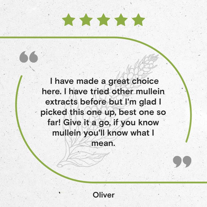 Secrets Of The Tribe - Wholesale Tincture - Mullein Flower Tincture6