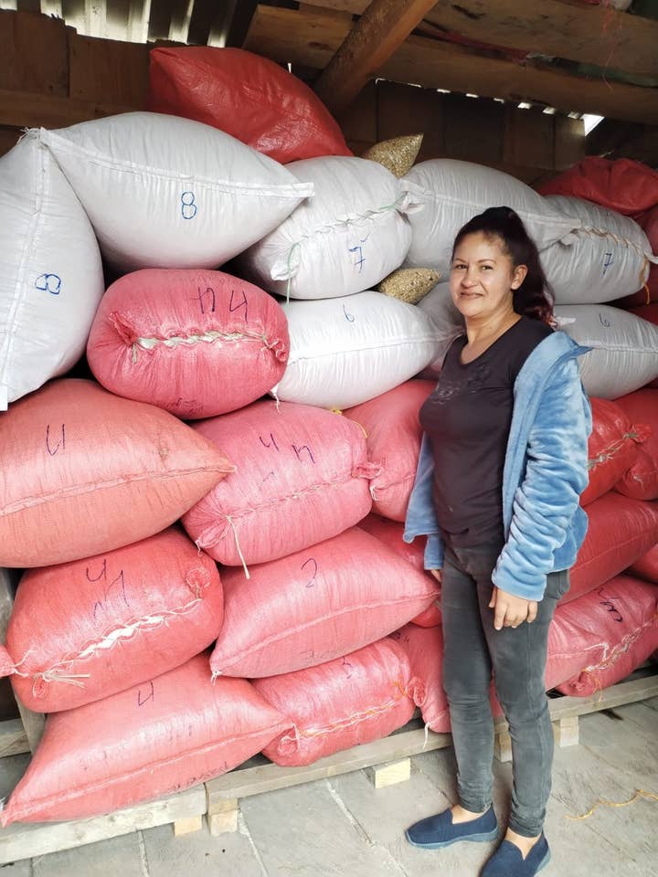 Honduras Los Alcipreces - Emiliana Montoya-SQ4611817 for wholesale by Whiptail Coffee