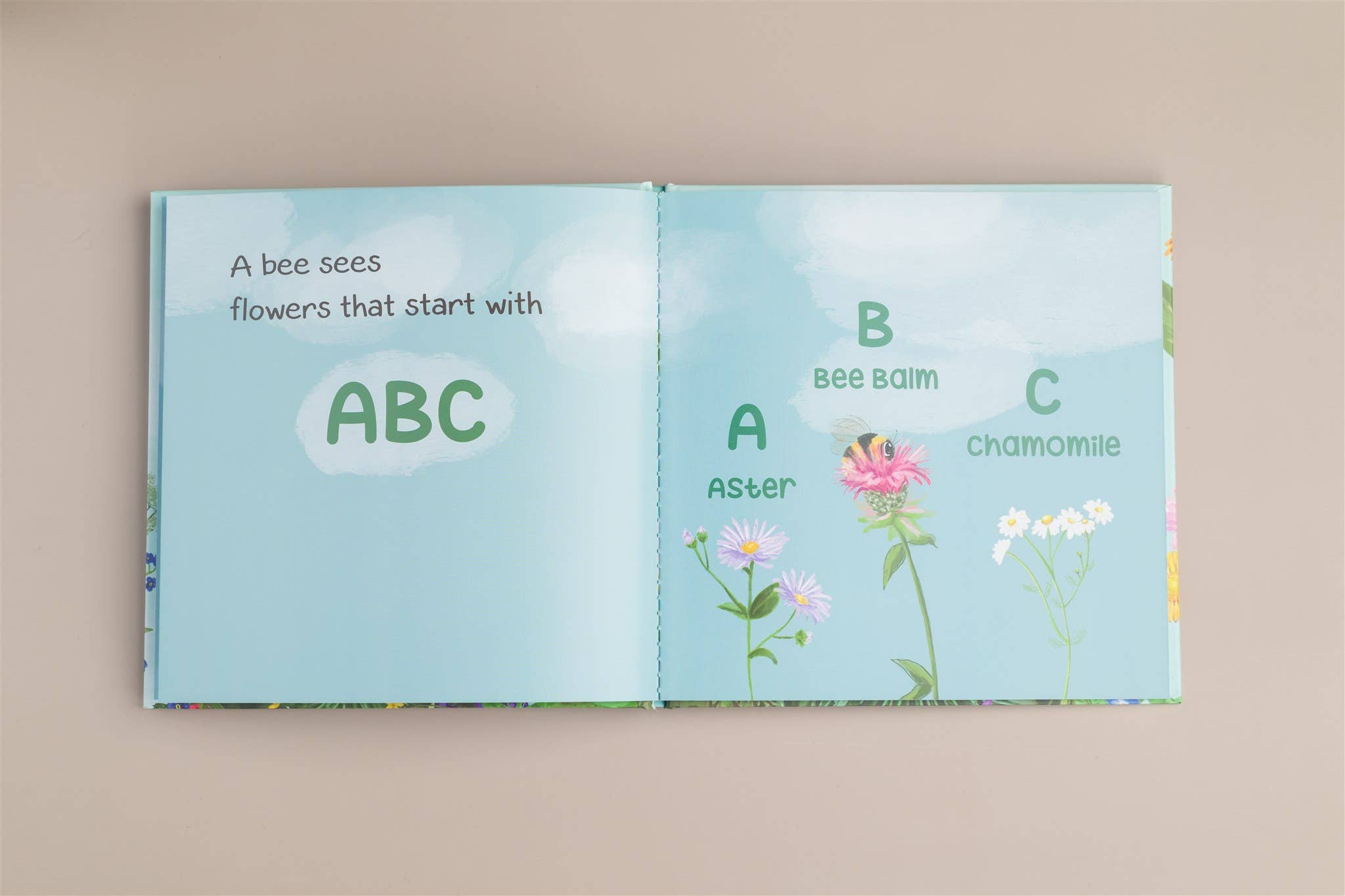Rebecca Jimenez - Wholesale Preschool Book (3-5) - A Bee Sees the ABC's Hardback Children's book1