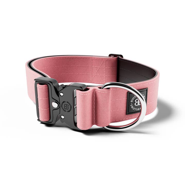 Collar de Combate® de 5 cm | Clip Calificado - SIN ASA - Rosa v2.0 para venta al por mayor de BullyBillows Ltd