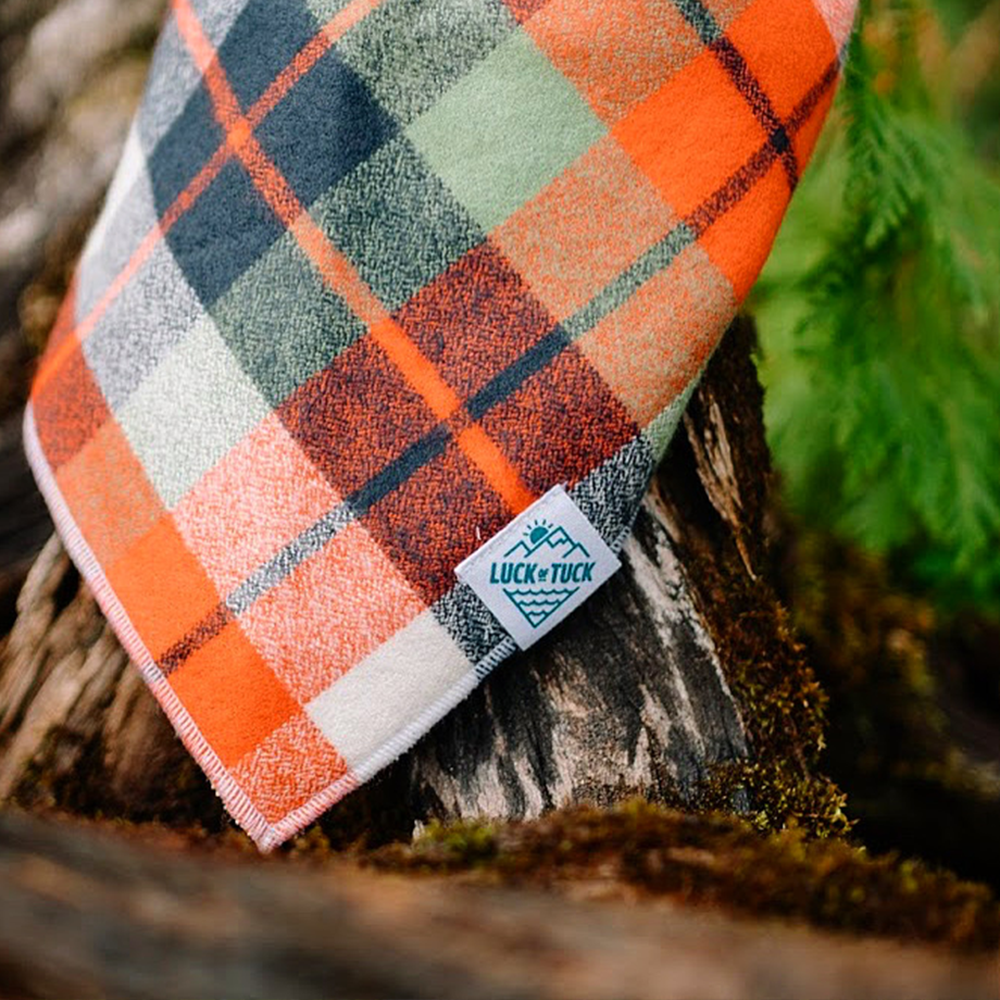 LUCK OF TUCK - Vente Bandana – chien - Bandana pour chien punkin'1