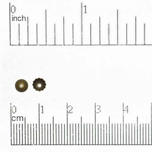 4.5mm Stamped Brass Bead Cap - Available in 7 Finishes - Sold Individually - BC100 for wholesale by Continental Beads