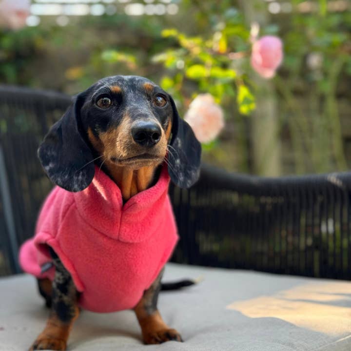 Doghouse – Großhandel Haustier-Pullover – Hund – Fleecepullover mit Dackelmotiv