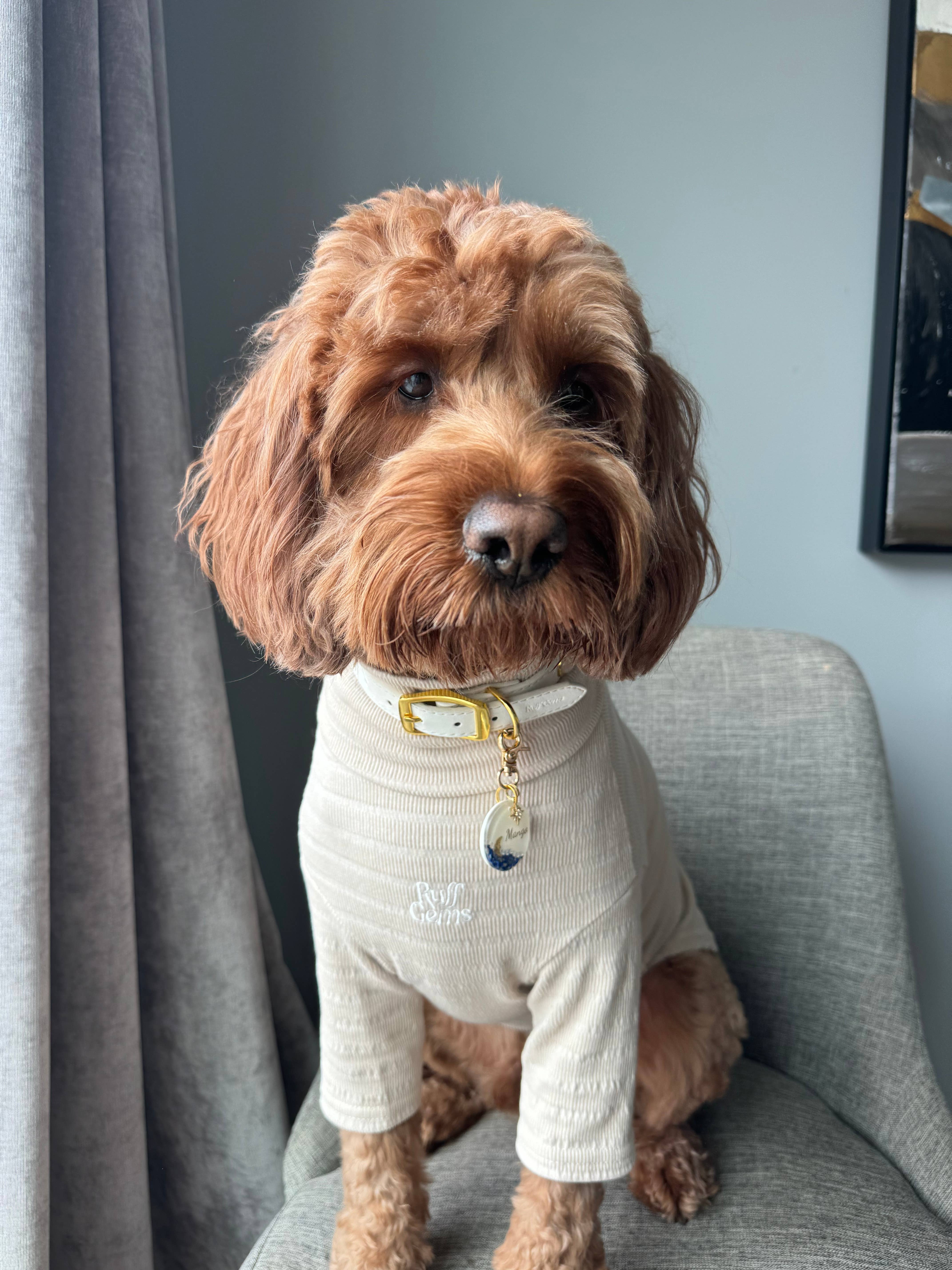 Ruff Gems Co - Wholesale Pet Shirt - Dog - Ultra Comfortable Luxury Dog Ribbed Stretch T Shirt10