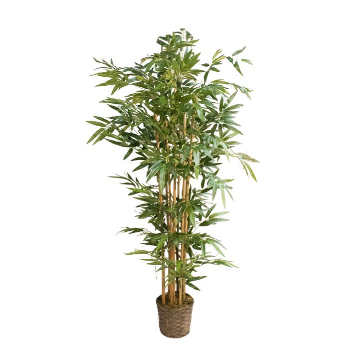 72" Tall Bamboo Tree in Bamboo Wicker Planter (27x27x72") for wholesale by Vintage Home