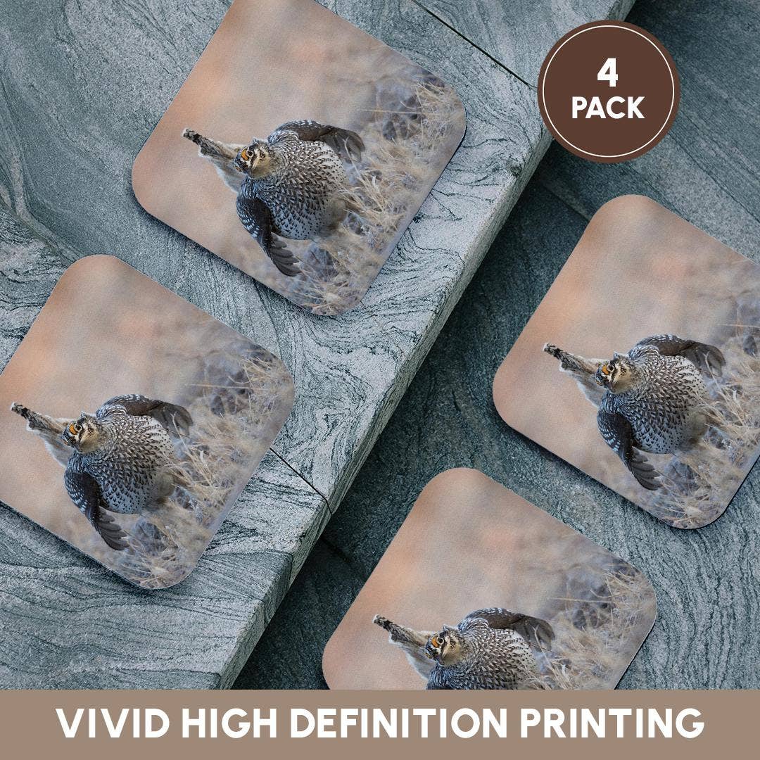 3dRose - Wholesale Coasters - 3dRose, Sharp-tailed grouse claiming lek territory, Coaster12