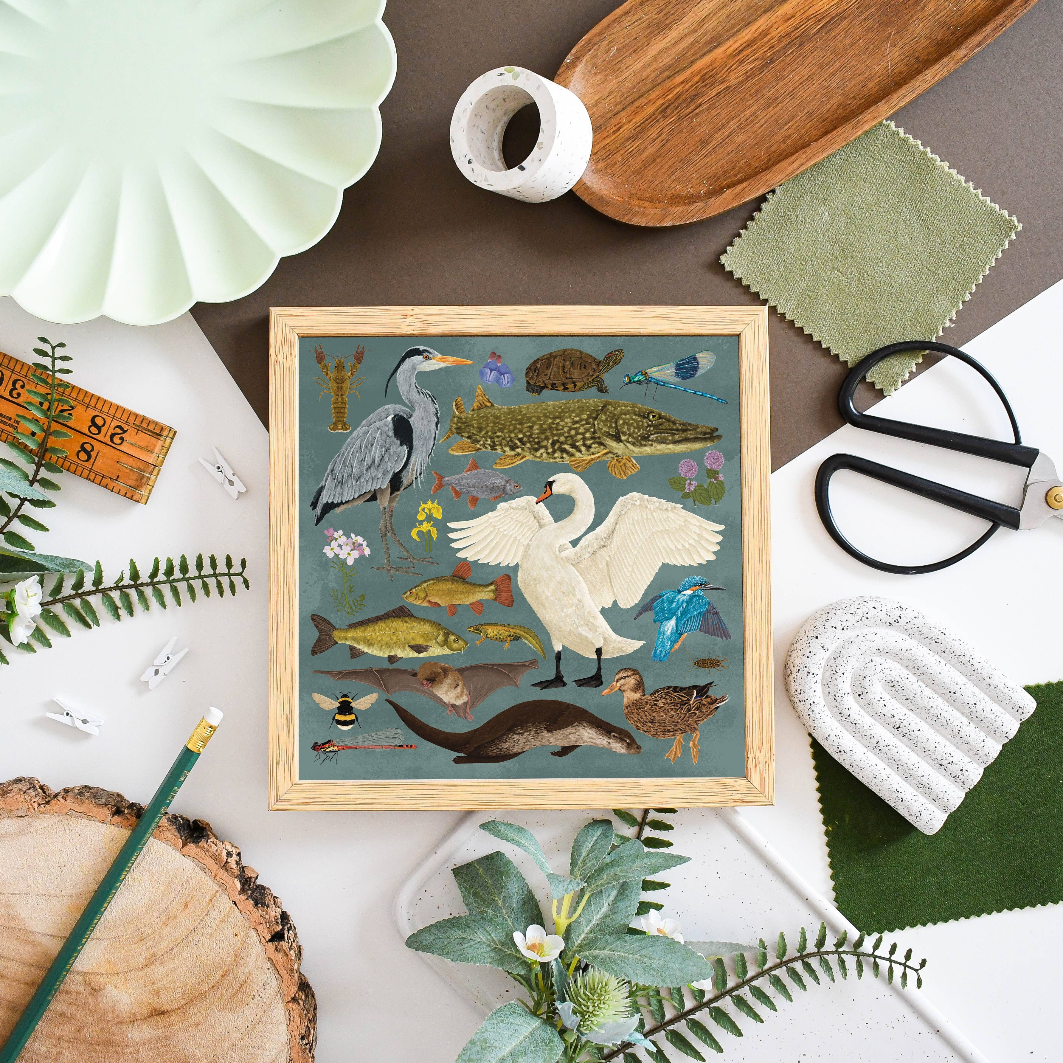 Ferne Creative - Wholesale Art Print - British Waterway Wildlife Print1