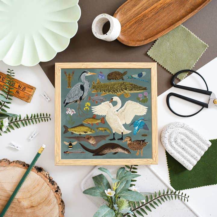 Ferne Creative - Wholesale Art Print - British Waterway Wildlife Print1