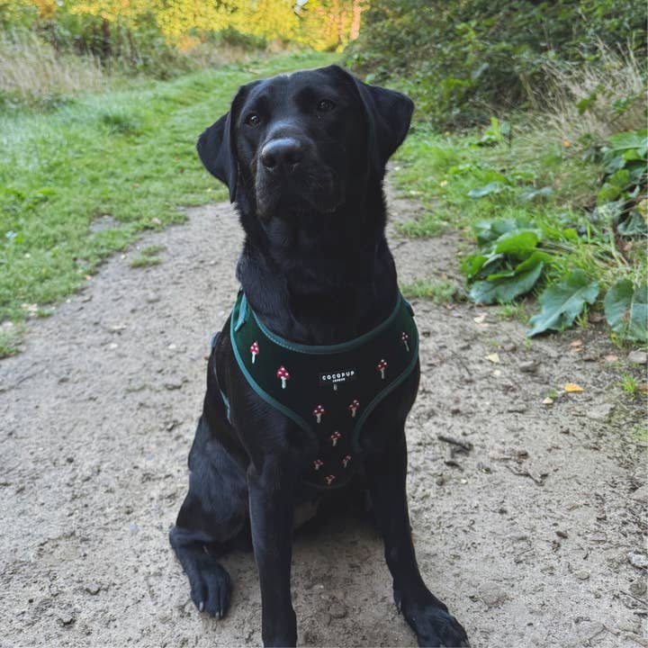 Cocopup London - Wholesale Pet Harness - Dog - Toadstool Trails Adjustable Neck HARNESS4