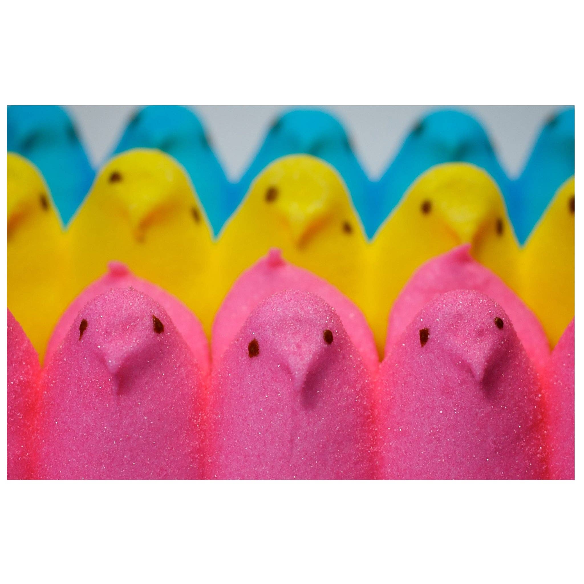 Trendy Treats - Wholesale Marshmallow - Peeps Marshmallow Chicks – Case (Blue, Yellow & Pink)1