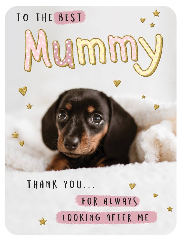 Mother's Day Card, Mummy, Puppy for wholesale by Piccadilly Greetings