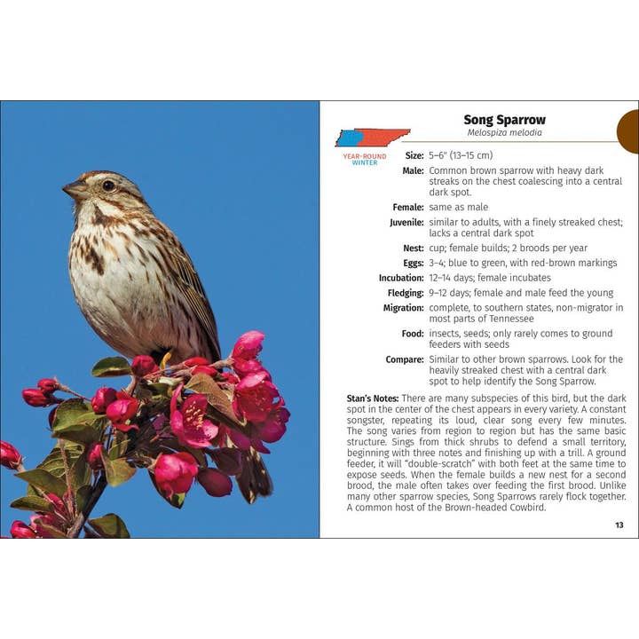 AdventureKEEN - Wholesale Nature Guide - Birds of Tennessee Field Guide 2e
