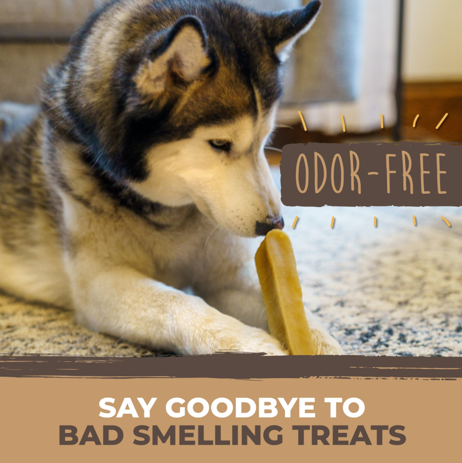 Mighty Paw - Wholesale Pet Treats - Dog - Bulk All-Natural Yak Cheese Chew2