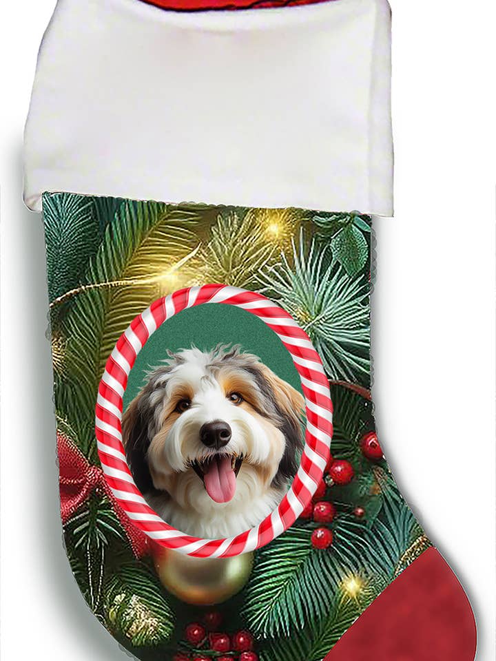 Aussiedoodle - Christmas Stocking for wholesale by Best of Breed Products
