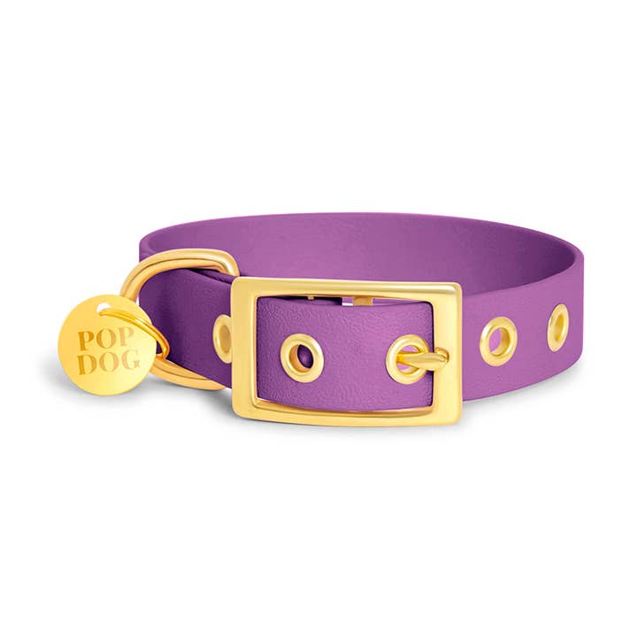 Le collier à œillets PRÉCIEUX pour la vente par Pop Dog