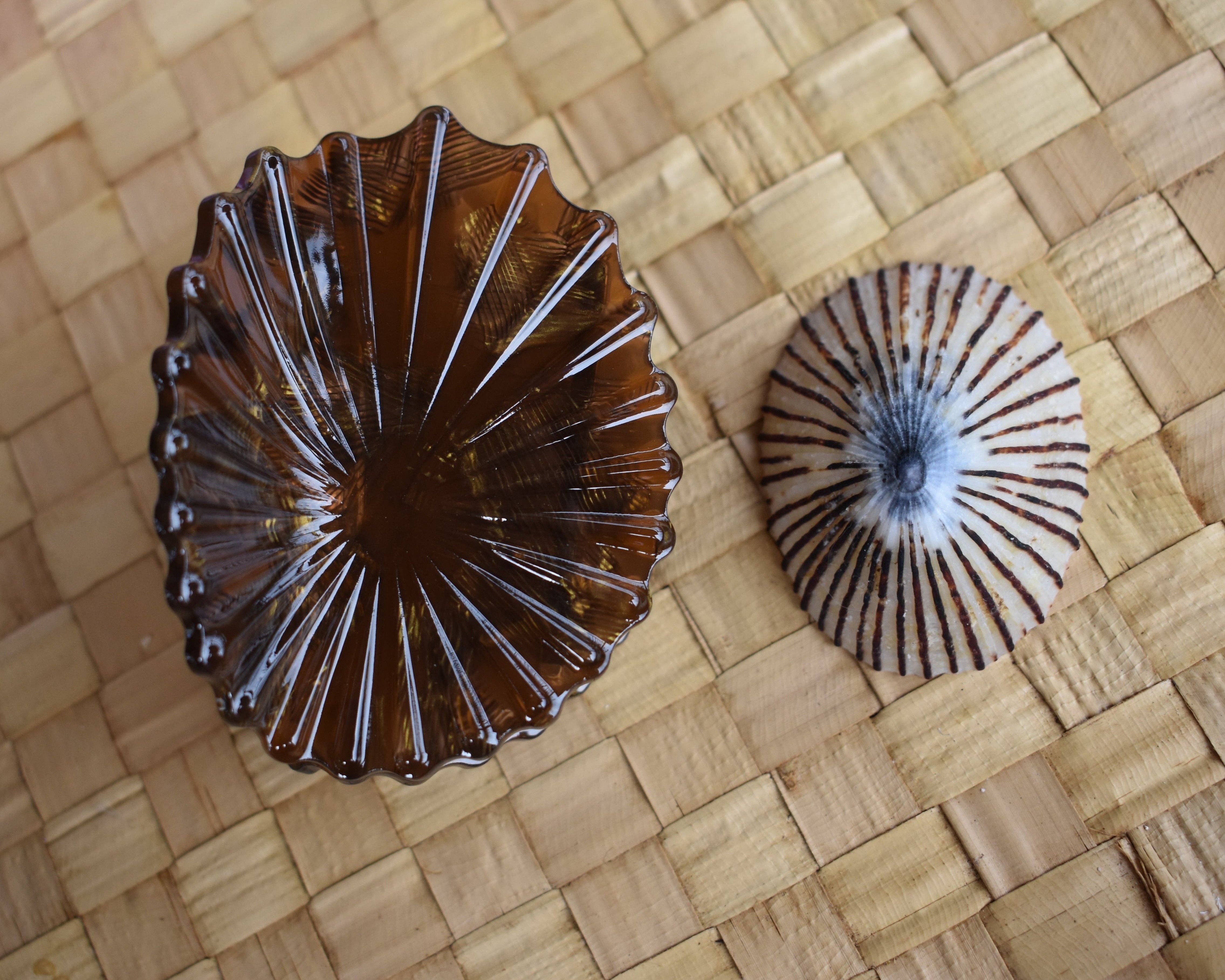 Revel Sun Hawai'i - Wholesale Hair Clip - Women's - 'Opihi Shell Shaped Claw Clip0