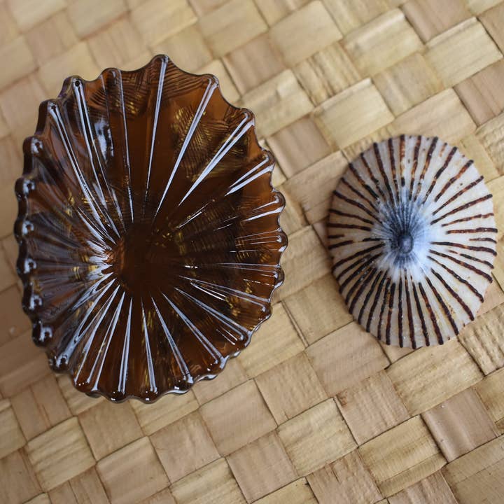 Revel Sun Hawai'i - Wholesale Hair Clip - Women's - 'Opihi Shell Shaped Claw Clip