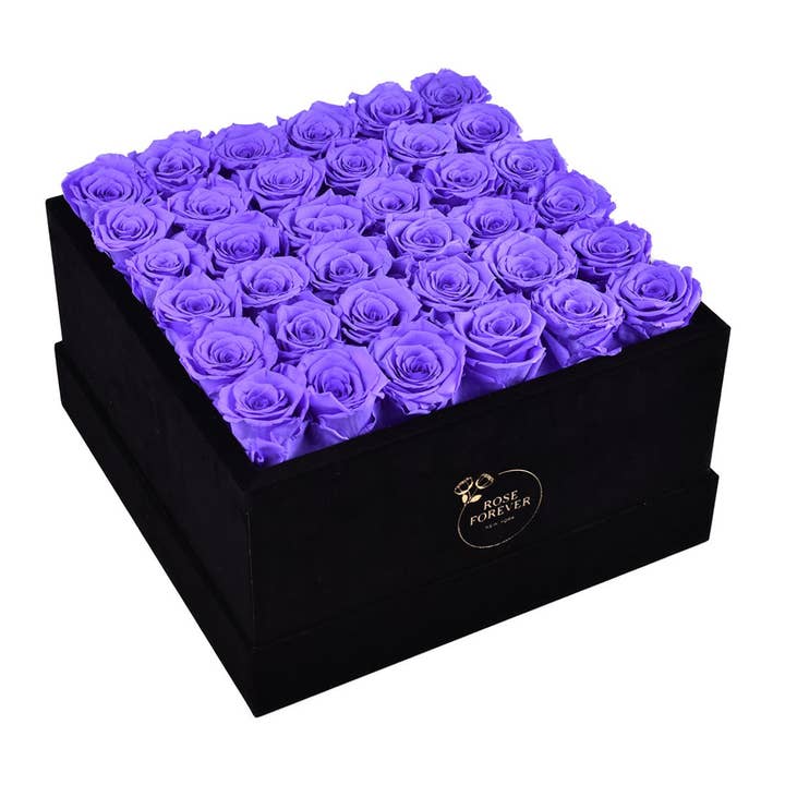 36 Lavender Roses Black Velvet Eternity Bouquet Box for wholesale by Rose Forever