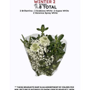 Florasource - Wholesale Fresh Cut Flowers - Premium pre made Christmas Bouquets 8 Bunches2