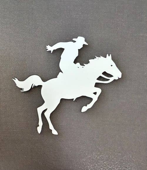 DCentral Magnetics - Wholesale Magnet - DCentral® Rodeo Flexible Vinyl Safety Screen Magnets1