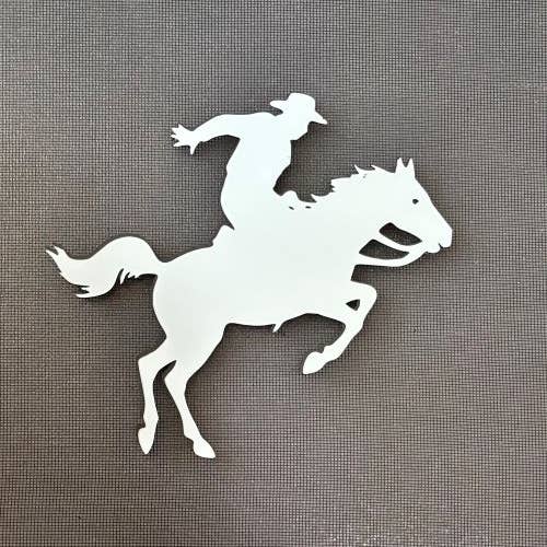 DCentral Magnetics - Wholesale Magnet - DCentral® Rodeo Flexible Vinyl Safety Screen Magnets1