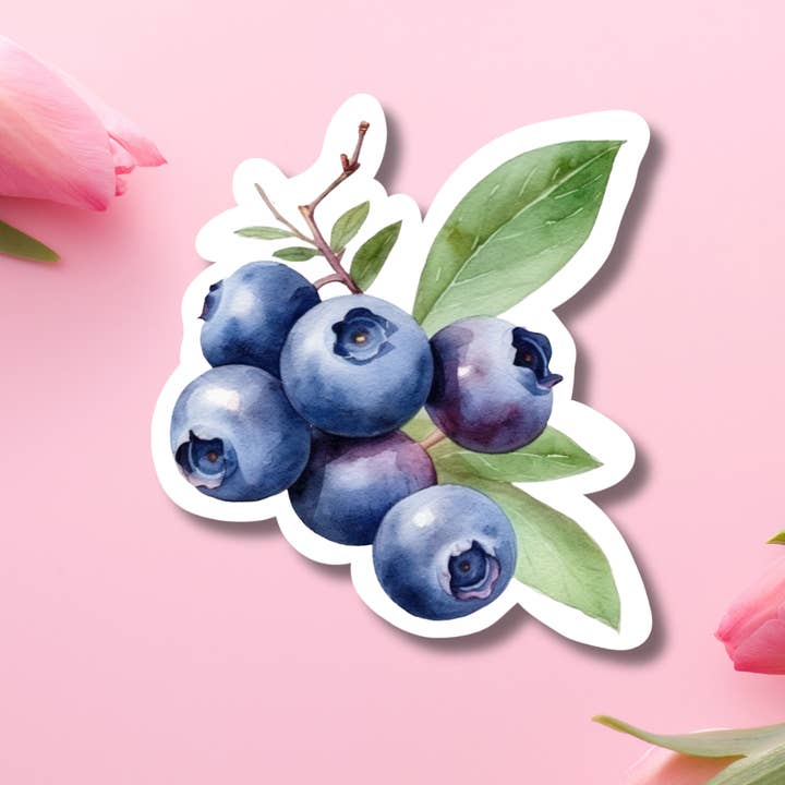 Blueberry Branch Vinyl Sticker for wholesale by Hikaru Tara Art Arst & Craft Gift Shop