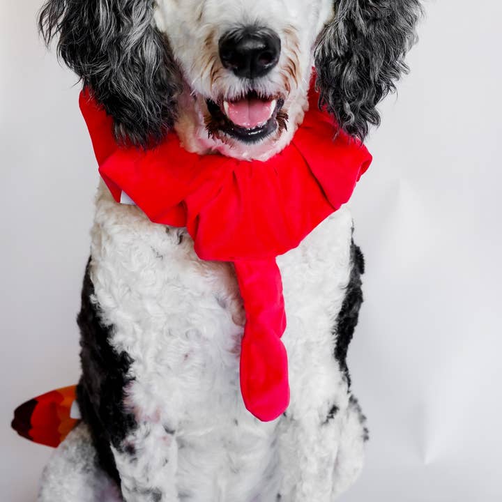 Midlee Designs – wholesale Dräkt - Hund – Midlee Turkiet Skägg & Svans Tacksägelse Kostym5