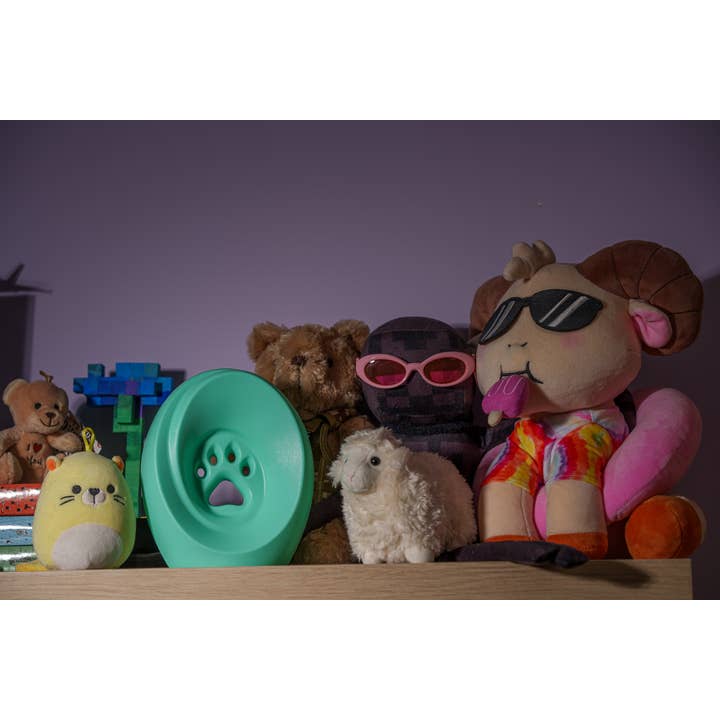 Pulvis Art Urns – Großhandel Haustier-Urne/Andenken-Box – Legacy Paw Urne für die Einäscherung – Mint | Tierurne5