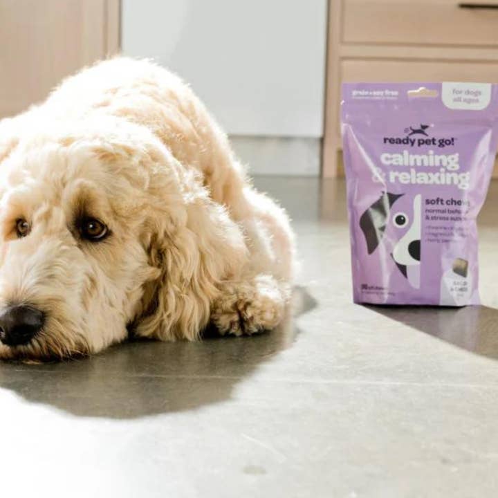 Ready Pet Go - Wholesale Pet treats – Dog - Calming & Relaxing Dog Chews for Anxiety & Stress Relief2