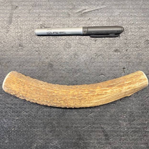 Sawtooth Antler Chews - Wholesale Pet Chew Toy - Dog - Dog Antler Chews3